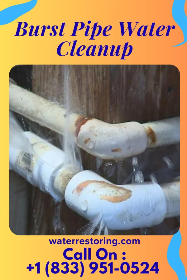Burst Pipe Water Cleanup in Lucas, OH
