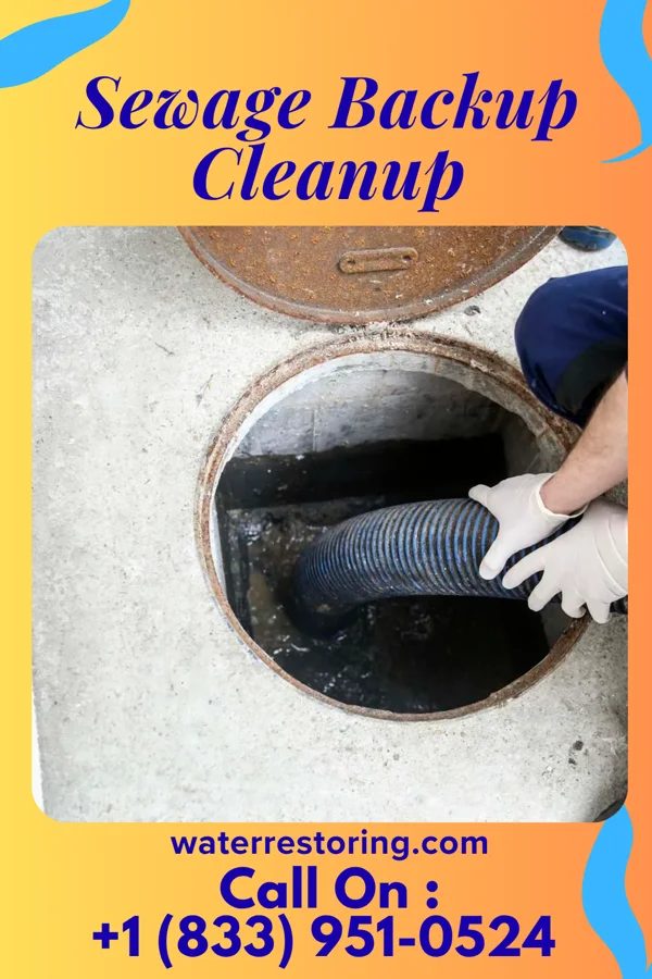 Sewage Backup Cleanup in Lucas, OH